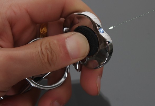 Apple LED keychain